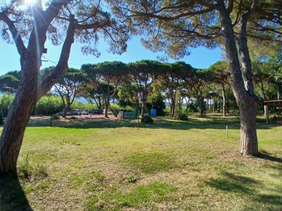 Location Fronte Mare con Prato, Pineta e Tettoia per il Tuo Evento