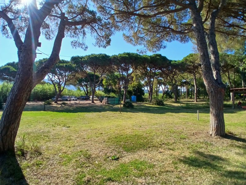 Location Fronte Mare con Prato, Pineta e Tettoia per il Tuo Evento