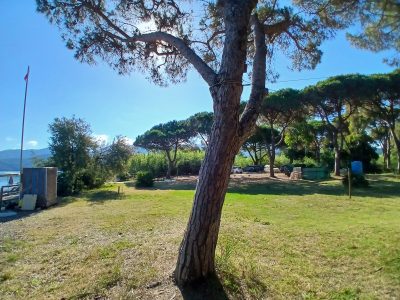 Location Fronte Mare con Prato, Pineta e Tettoia per il Tuo Evento