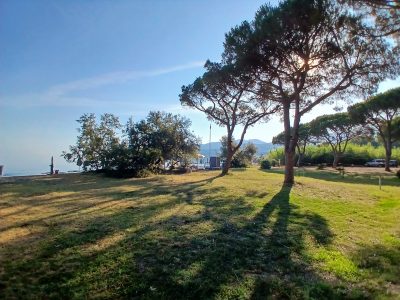 Location Fronte Mare con Prato, Pineta e Tettoia per il Tuo Evento