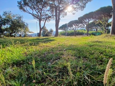 Location Fronte Mare con Prato, Pineta e Tettoia per il Tuo Evento